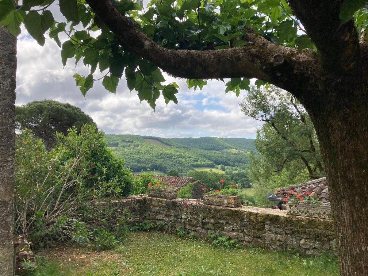 La Ferme Du Paradis Verfeil-sur-Seye Exterior foto