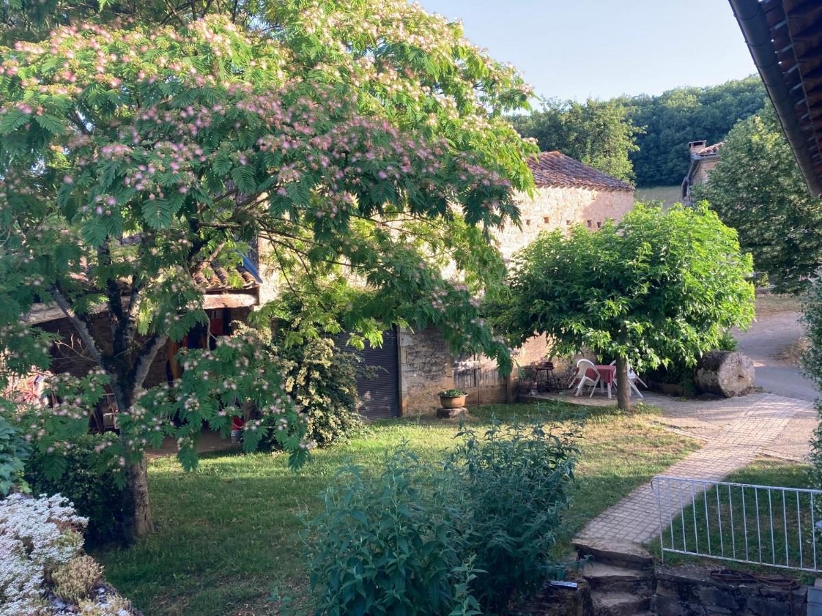 La Ferme Du Paradis Verfeil-sur-Seye Exterior foto