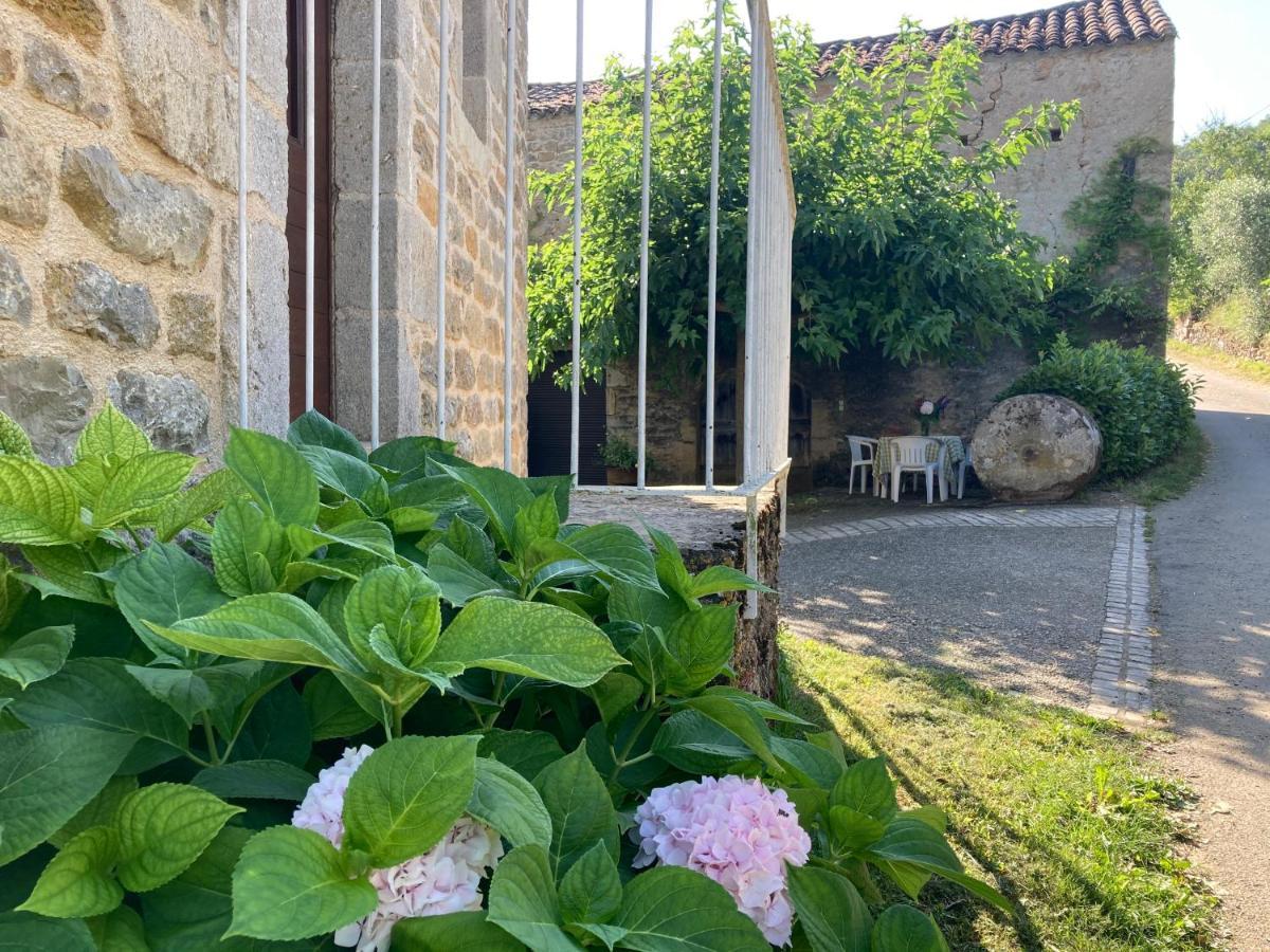 La Ferme Du Paradis Verfeil-sur-Seye Exterior foto